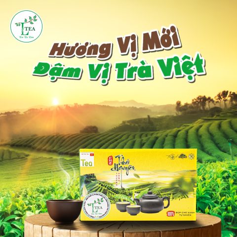 TRÀ MÓC CÂU HỘP DIÊM