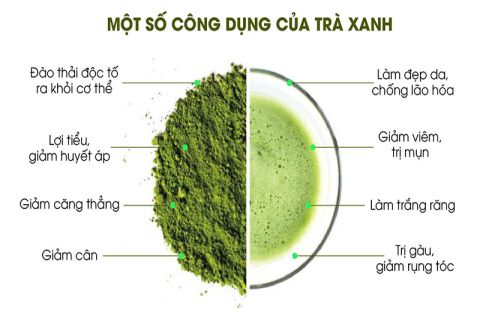 10 TÁC DỤNG CỦA TRÀ ĐỐI VỚI SỨC KHỎE